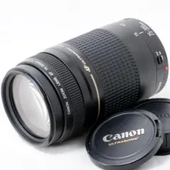 ☆極美品級☆300mm超望遠レンズ☆CANON EF 75-300mm - メルカリ