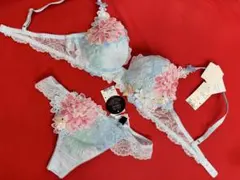 2025年最新】ワコール サルート 中国音楽の人気アイテム - メルカリ