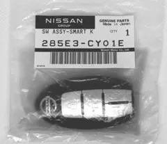 Item thumbnail for item c6e91046-2766-485b-a8e8-0f50eda13531