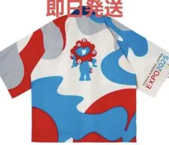 Item thumbnail for item 21217a21-484e-4664-9608-663ad98fb5f3