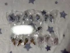 どこでもいっしょ めじるしアクセサリー 15点セット