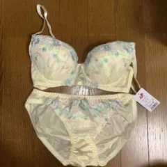 ブラジャーショーツセット