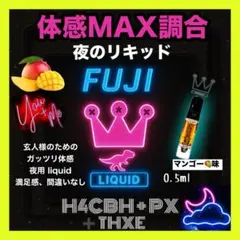 fj96様 リクエスト 2点 まとめ商品