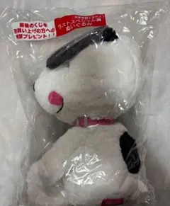 ケロッチ様専用　スヌーピー ラストワン賞とその他