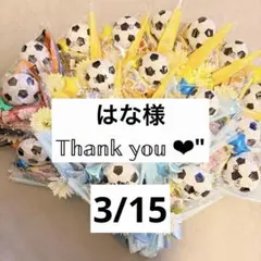 はな様専用☆。.:＊・゜