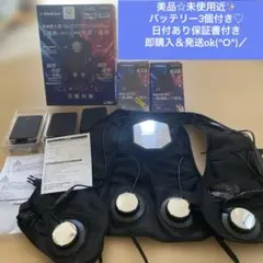 【極美品】ペルチェベスト2025 PRO2モデル　未使用予備バッテリー2個付