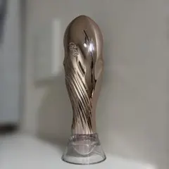 リファイオンケアブラシプレミアム（ローズゴールド）