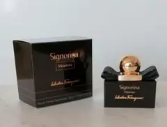 Salvatore Ferragamoシニョリーナミステリオーサ★未使用/送料込