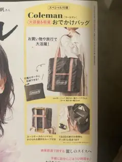 リンネル付録 コールマンお出かけバッグ