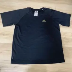 Item thumbnail for item 8b449587-4a03-4af5-bc5f-ba5b385fa02f