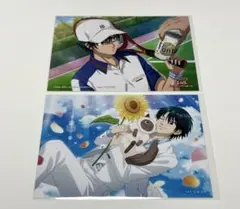 テニスの王子様 非売品 ブロマイド スナップ写真 越前リョーマ 寝顔