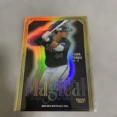 Item thumbnail for item c6569e19-221d-46ef-a72c-044c30e575a3