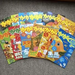 進研ゼミ小学講座（2年）かがく組　12冊セット