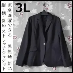 テーラードジャケット 黒 大きいサイズ