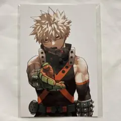 【かにかま様専用】