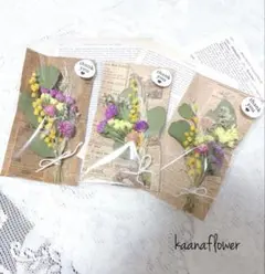 Item thumbnail for item 00bdabf6-b8e7-452a-99c4-b5cf25768e16