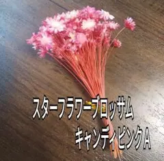 ★べにおとめ様 リクエスト 3点 まとめ商品★