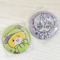 カラフルピーチ 刺繍缶バッジ バッチ ヒロ シヴァのあ ゆあん たっつん えと