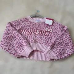 Item thumbnail for item 006c2e4a-6511-4cb7-9d84-edac45041e00