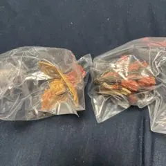 モンスターハンターワイルズ一番くじC賞モンスターヘッドマグネット2種セット