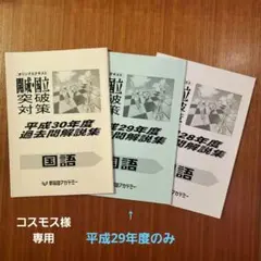 コスモス様専用 早稲アカ 開成必勝 過去問解説集 国語 H29年度のみ