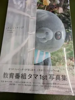 ☆未開封　教育番組タマ　1st 写真集　げんじつとうひ　①　定価3520円