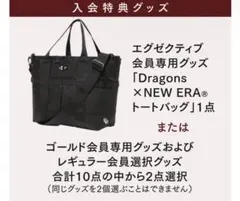中日ドラゴンズ ファンクラブ限定 入会特典グッズ NEWERA リュック