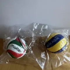 バレーボール キーホルダー 2個セット MIKASA molten おまけ付き