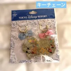 ディズニーリゾート　ミッキーマウス　ミニーマウス　バースデーキーチェーンセット