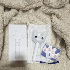 Item thumbnail for item 509936cd-36a7-48da-a5c1-23e0565eaa73