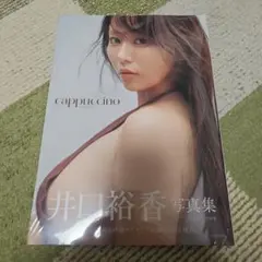 井口裕香 写真集 cappuccino 新品未開封