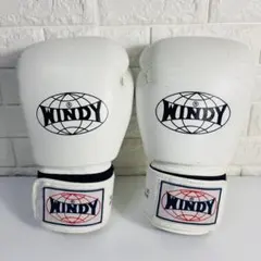 Item thumbnail for item a1032be4-f0cb-4c5d-b688-80299f913a0d