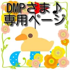 DMP様 リクエスト 2点 まとめ商品