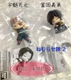 【鬼滅の刃】ねむらせ隊 ２(宇髄天元・冨岡義勇)