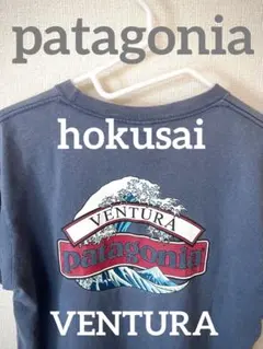 古着 パタゴニア patagonia Tシャツ オーガニックコットン Sサイズ