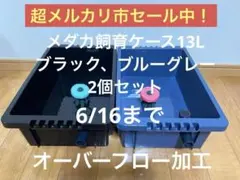 PINO-LA（ピノーラ） 蓋、4輪キャスター付き38L キャリーカート ×2点 