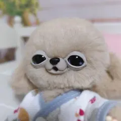 チワボボちゃん　アートドール　ぬいぐるみ