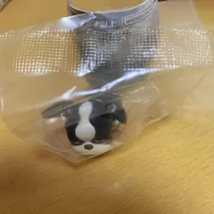 ジョジョの奇妙な冒険　スターダストクルセイダース まちぼうけ　イギー