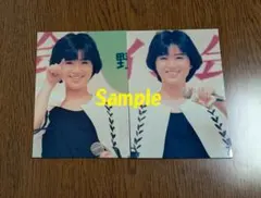 2026年最新】酒井法子生写真の人気アイテム - メルカリ