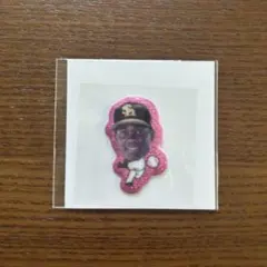非売品‼︎福岡ソフトバンクホークス グリッターシール　モイネロ
