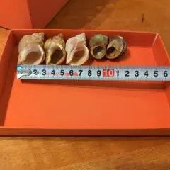 Item thumbnail for item 9899ab1c-c115-4e3d-967b-3a78e53a3dbe