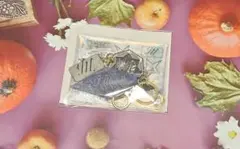 スタライ7th 特典 カードケース