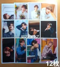 高橋恭平 なにわ男子 公式写真 2023年 12枚 セット まとめ売り