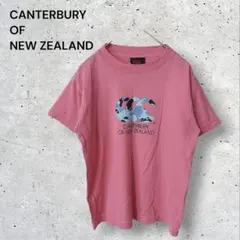 カンタベリーオブニュージーランド　Tシャツ　半袖　ピンカモフラロゴ　ピンク　Mのサムネイル