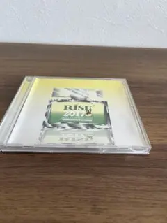 ✨早い者勝ち✨RISE 2017 Best Of Spring Hit's DJ