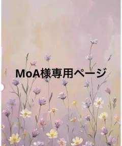 MoA様専用ページ