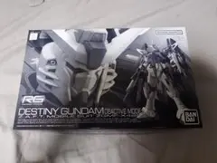RG 1/144 デスティニーガンダム ディアクティブモード