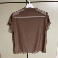 茶　シースルー　トップス　ブラウス