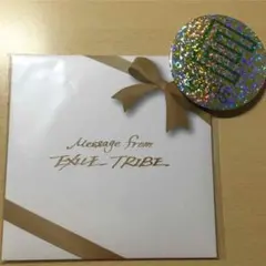 EXILE TRIBE CD&E-girls デカ缶バッチ