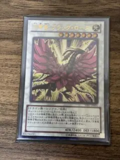 2025年最新】月華竜 ブラック・ローズの人気アイテム - メルカリ